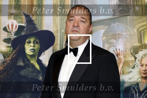 Amsterdam 18 november 2025
Premiere Wicked in het deLaMar theater . Kees Boot