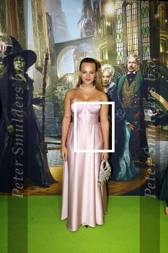 Amsterdam 18 november 2025
Premiere Wicked in het deLaMar theater . Kes v d Broek
