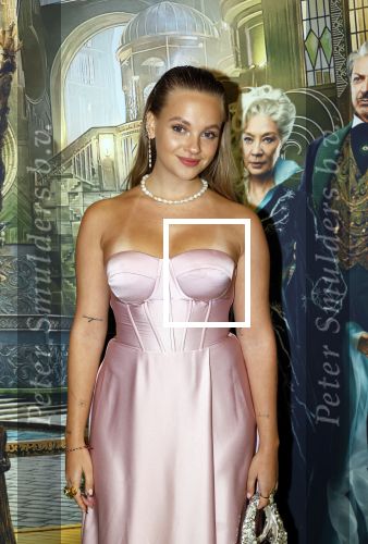Amsterdam 18 november 2025
Premiere Wicked in het deLaMar theater . Kes v d Broek