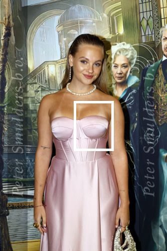 Amsterdam 18 november 2025
Premiere Wicked in het deLaMar theater . Kes v d Broek
