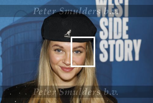 Rotterdam 23 november 2025
Premiere West side story in het nieuwe luxor. Kes v d Broek kwam met haar moeder
