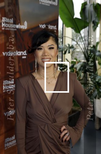 Amsterdam 11 november 2025
Presentatie real housewives of Amsterdam in het W hotel.
Aanwezig Niama Amhali Renee Vervoorn Cherry Ann Person Lilian Dziedzic Kimmylien Nguyen Djamila Celina en Elvira Penthesilea.