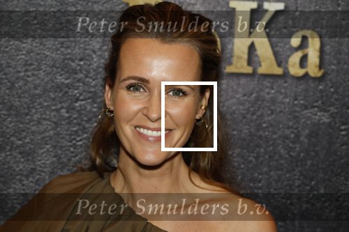 Baarn 29 oktober 2025
Premiere William Rutten in theater de Speeldoos. Kirsten Westrik