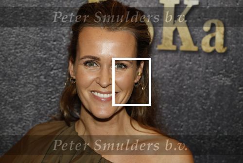 Baarn 29 oktober 2025
Premiere William Rutten in theater de Speeldoos. Kirsten Westrik