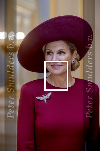 Den Haag 19 november 2025
Guillaume van Luxemburg en zijn vrouw Stephanie bezoeken koning Willem Alexander en Koningin Maxima op paleis Noordeinde .
