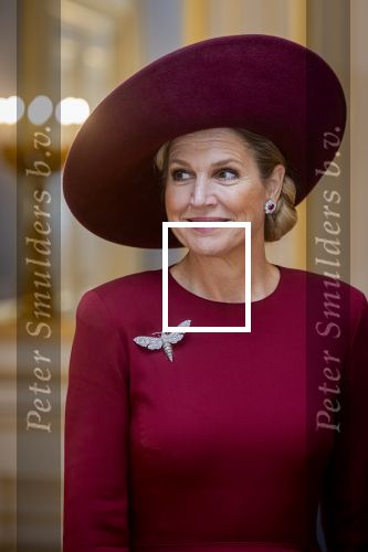 Den Haag 19 november 2025
Guillaume van Luxemburg en zijn vrouw Stephanie bezoeken koning Willem Alexander en Koningin Maxima op paleis Noordeinde .
