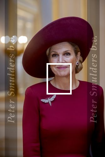 Den Haag 19 november 2025
Guillaume van Luxemburg en zijn vrouw Stephanie bezoeken koning Willem Alexander en Koningin Maxima op paleis Noordeinde .
