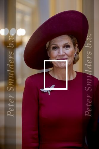 Den Haag 19 november 2025
Guillaume van Luxemburg en zijn vrouw Stephanie bezoeken koning Willem Alexander en Koningin Maxima op paleis Noordeinde .