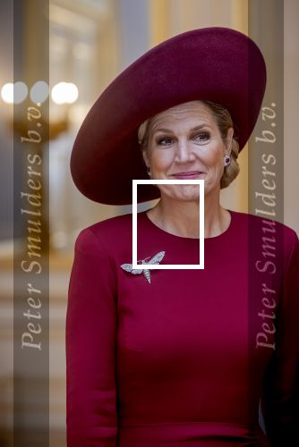 Den Haag 19 november 2025
Guillaume van Luxemburg en zijn vrouw Stephanie bezoeken koning Willem Alexander en Koningin Maxima op paleis Noordeinde .