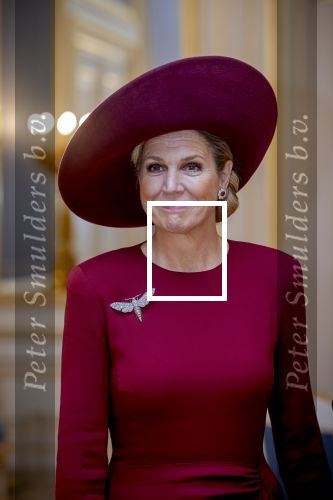 Den Haag 19 november 2025
Guillaume van Luxemburg en zijn vrouw Stephanie bezoeken koning Willem Alexander en Koningin Maxima op paleis Noordeinde .