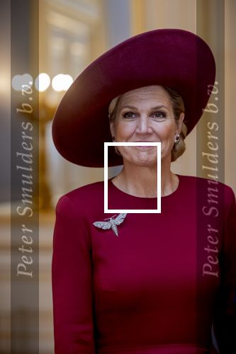 Den Haag 19 november 2025
Guillaume van Luxemburg en zijn vrouw Stephanie bezoeken koning Willem Alexander en Koningin Maxima op paleis Noordeinde .