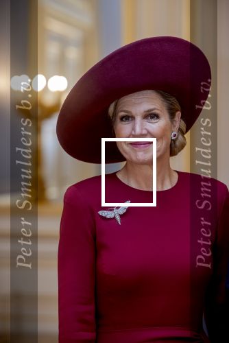 Den Haag 19 november 2025
Guillaume van Luxemburg en zijn vrouw Stephanie bezoeken koning Willem Alexander en Koningin Maxima op paleis Noordeinde .