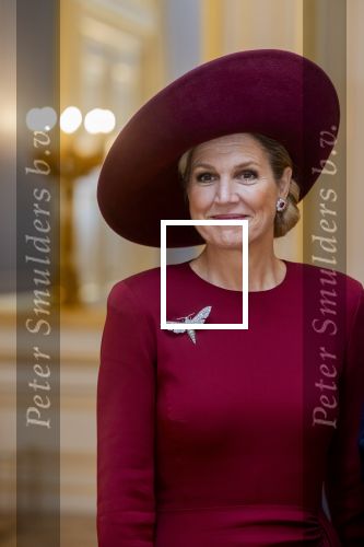 Den Haag 19 november 2025
Guillaume van Luxemburg en zijn vrouw Stephanie bezoeken koning Willem Alexander en Koningin Maxima op paleis Noordeinde .