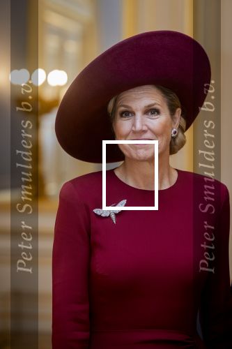 Den Haag 19 november 2025
Guillaume van Luxemburg en zijn vrouw Stephanie bezoeken koning Willem Alexander en Koningin Maxima op paleis Noordeinde .