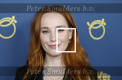 Amsterdam 16 oktober 2025
Uitreiking televizierring 2025 in Carre 
Laetitia Gerards