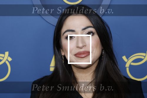 Amsterdam 16 oktober 2025
Uitreiking televizierring 2025 in Carre 
Lale Gul