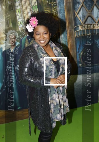 Amsterdam 18 november 2025
Premiere Wicked in het deLaMar theater . Leona Philippo