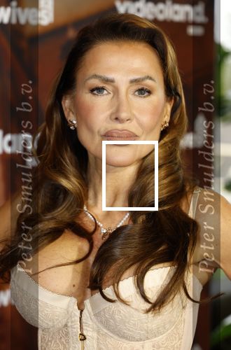 Amsterdam 11 november 2025
Presentatie real housewives of Amsterdam in het W hotel.
Aanwezig Niama Amhali Renee Vervoorn Cherry Ann Person Lilian Dziedzic Kimmylien Nguyen Djamila Celina en Elvira Penthesilea.