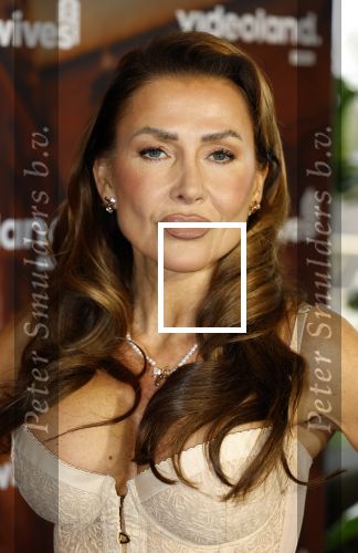Amsterdam 11 november 2025
Presentatie real housewives of Amsterdam in het W hotel.
Aanwezig Niama Amhali Renee Vervoorn Cherry Ann Person Lilian Dziedzic Kimmylien Nguyen Djamila Celina en Elvira Penthesilea.