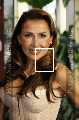 Amsterdam 11 november 2025
Presentatie real housewives of Amsterdam in het W hotel.
Aanwezig Niama Amhali Renee Vervoorn Cherry Ann Person Lilian Dziedzic Kimmylien Nguyen Djamila Celina en Elvira Penthesilea.
