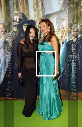 Amsterdam 18 november 2025
Premiere Wicked in het deLaMar theater . Lilian Dziedzic