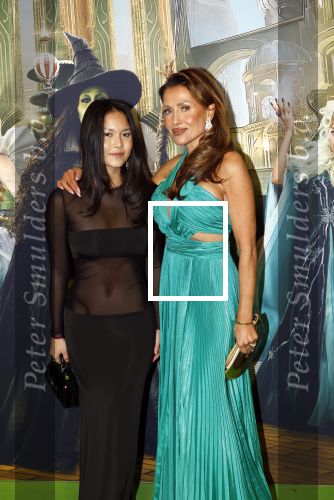 Amsterdam 18 november 2025
Premiere Wicked in het deLaMar theater . Lilian Dziedzic
