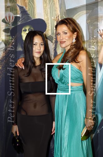 Amsterdam 18 november 2025
Premiere Wicked in het deLaMar theater . Lilian Dziedzic