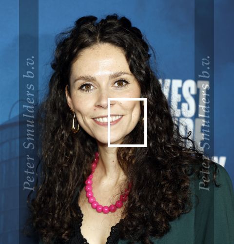 Rotterdam 23 november 2025
Premiere West side story in het nieuwe luxor. Linda Verstraten