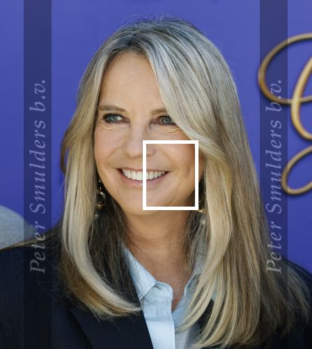 Blaricum 17 oktober 2025
Perspresentatie eerste aflevering Gooische vrouwen met oa aanwezig Linda de Mol Susan Visser Liews Visschedijk Teunie de Brouwer Tommy v Lent Robert de Hoog en Eefje Kuijtzer
