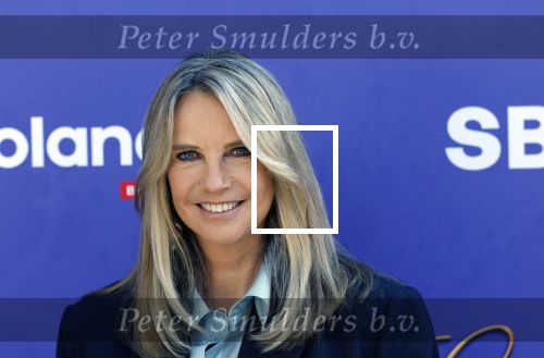 Blaricum 17 oktober 2025
Perspresentatie eerste aflevering Gooische vrouwen met oa aanwezig Linda de Mol Susan Visser Liews Visschedijk Teunie de Brouwer Tommy v Lent Robert de Hoog en Eefje Kuijtzer