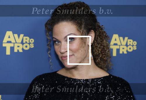 Amsterdam 16 oktober 2025
Uitreiking televizierring 2025 in Carre 
Lisette Wellens
