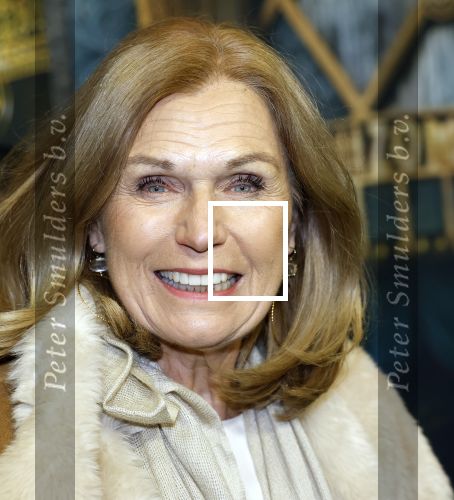 Amsterdam 18 november 2025
Premiere Wicked in het deLaMar theater . Liz Snoijink