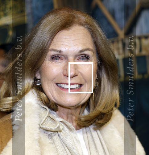 Amsterdam 18 november 2025
Premiere Wicked in het deLaMar theater . Liz Snoijink