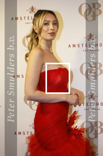 Amsterdam 26 november 2025
Olcay Gulsen geeft een groot feest ( Gemaskerd bal) in het Amstel Hotel. Loiza Lamers