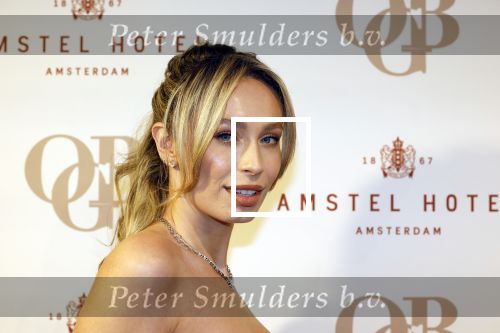 Amsterdam 26 november 2025
Olcay Gulsen geeft een groot feest ( Gemaskerd bal) in het Amstel Hotel. Loiza Lamers