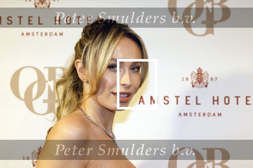 Amsterdam 26 november 2025
Olcay Gulsen geeft een groot feest ( Gemaskerd bal) in het Amstel Hotel. Loiza Lamers