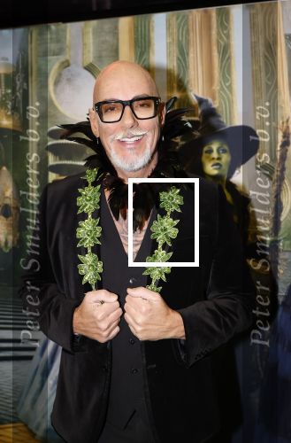 Amsterdam 18 november 2025
Premiere Wicked in het deLaMar theater . maik de boer