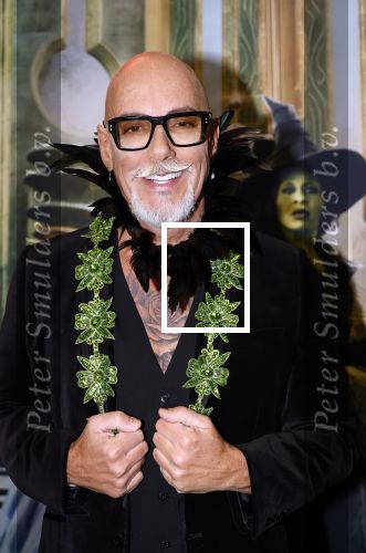 Amsterdam 18 november 2025
Premiere Wicked in het deLaMar theater . maik de boer