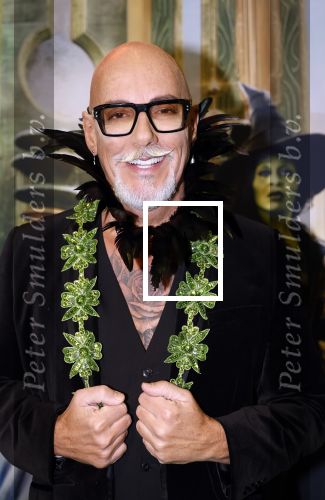 Amsterdam 18 november 2025
Premiere Wicked in het deLaMar theater . maik de boer