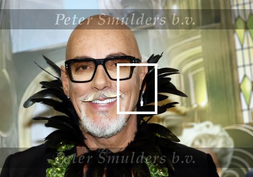 Amsterdam 18 november 2025
Premiere Wicked in het deLaMar theater . maik de boer