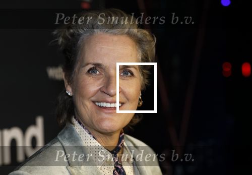 Amsterdam 28 november 2025
Presentatie videoland serie Vals Spel in Amsterdam. Margriet v d Linden