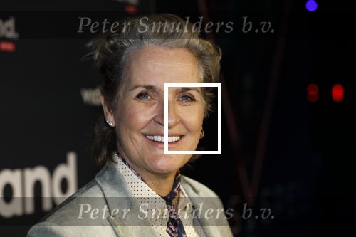 Amsterdam 28 november 2025
Presentatie videoland serie Vals Spel in Amsterdam. Margriet v d Linden