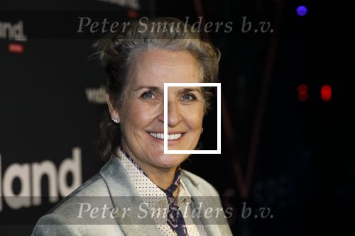 Amsterdam 28 november 2025
Presentatie videoland serie Vals Spel in Amsterdam. Margriet v d Linden