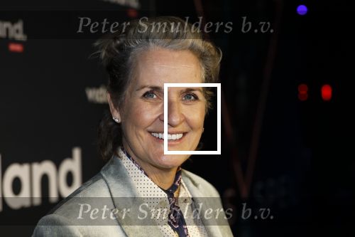Amsterdam 28 november 2025
Presentatie videoland serie Vals Spel in Amsterdam. Margriet v d Linden