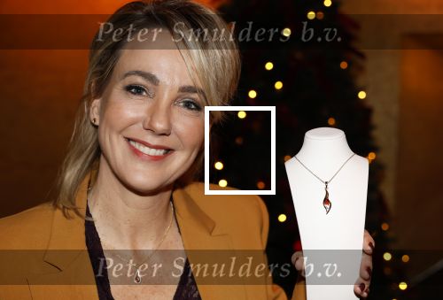 Amsterdam 27 november 2025
Presentatie sieradenlijn Marianne Timmer en Cathelijne Trovato Flamore 98 genaamd bij Palladium .