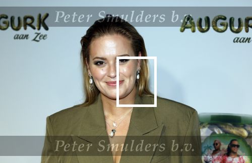 Amsterdam 4 november 2025
Premiere Augurk aan zee in Tuschinski met de cast die bestaat uit oa Monic Hendrickx Martin v Waardenberg Olga Zuiderhoek Jelka v Houten Frank Lammers Peter v d Begin en Tibor Lukacs. Robert v Hemert heeft de titelsong geschreven . marieke Westenenk