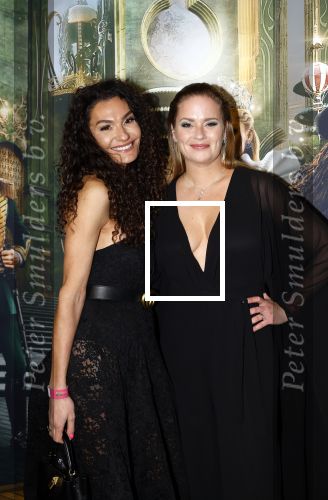 Amsterdam 18 november 2025
Premiere Wicked in het deLaMar theater . Marieke Westenenk