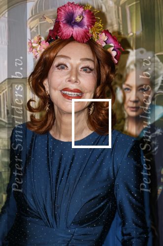 Amsterdam 18 november 2025
Premiere Wicked in het deLaMar theater . Marijke Helwegen