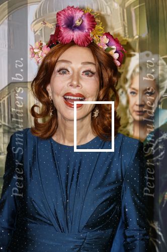 Amsterdam 18 november 2025
Premiere Wicked in het deLaMar theater . Marijke Helwegen