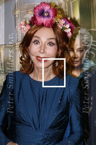 Amsterdam 18 november 2025
Premiere Wicked in het deLaMar theater . Marijke Helwegen